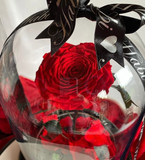 Enchanted Rose Deluxe Glass Dome - LARGE