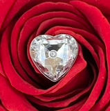 'Magnifico' 6 (or 12) Preserved Roses & Chocolates Gift Set
