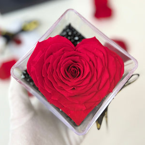 'Grand Amore' Acrylic Cube Single Heart Rose