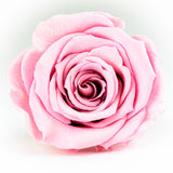 Aubrey Medium Heart Box - Preserved Roses - Forever Flowers UK