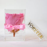 Pink 'La Rosa Bebé' Clear Acrylic Box - Single Preserved Rose -🎀 Galentine's Day Collection