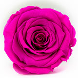 Suspended Rose Pendant Set