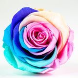 'La Rosa Bebé' Acrylic Box Single Rose