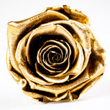 'La Rosa Bebé' Acrylic Box Single Rose