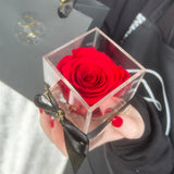 'La Rosa Bebé' Acrylic Box Single Rose