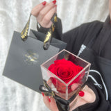 'La Rosa Bebé' Acrylic Box Single Rose