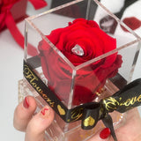 'La Rosa Bebé' Acrylic Box Single Rose