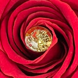 'Infinity' 30cm Stem SINGLE - Preserved Rose