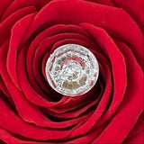 'Grand Amore' Acrylic Cube Single Heart Rose