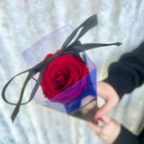 Single 30cm Red Long Life Rose Bartizan Box