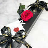 Red 'Infinity' 30cm Long Stem Preserved Rose -🎀 Galentine's Day Collection