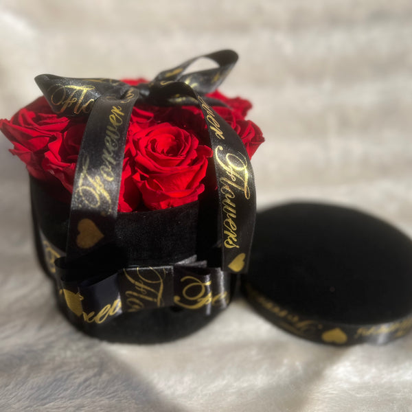 Black Velvet Box 9 Bright Red Long Life Roses - Sale