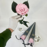 Single Long Life Rose in a Bartizan Box