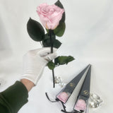 Single Long Life Rose in a Bartizan Box