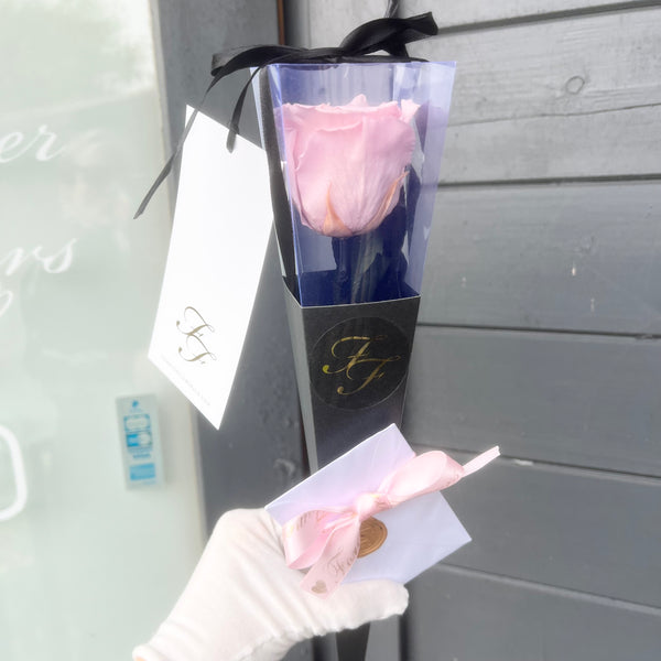 Single Long Life Rose in a Bartizan Box