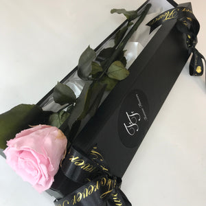 Pink 'Infinity' 30cm Long Stem Preserved Rose -🎀 Galentine's Day Collection