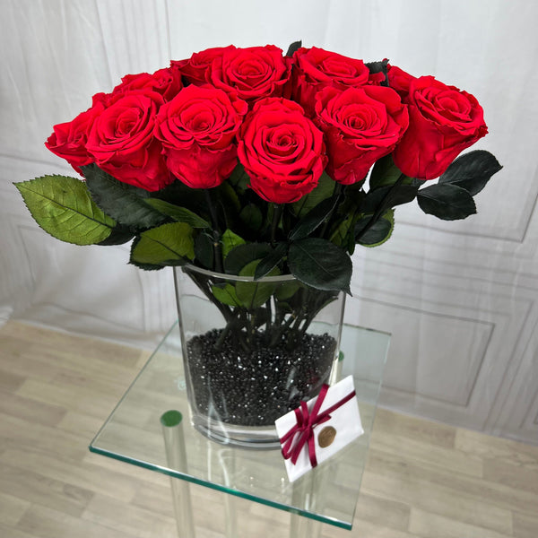 Half a Dozen Red Roses -🎀 Galentine's Day Collection