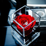 Red 'La Rosa Bebé' Clear Acrylic Box - Single Preserved Rose -🎀 Galentine's Day Collection