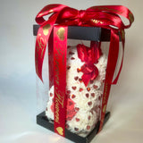 Twinkle Bear White with Red Hearts 25cm - Sale