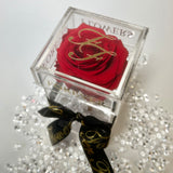 La Rosa Bebe Acrylic Box Red Real Rose Large - Sale
