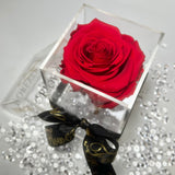 La Rosa Bebe Acrylic Box Red Real Rose Large - Sale