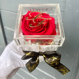 La Rosa Bebe Acrylic Box Red Real Rose Large - Sale