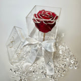 La Rosa Bebe Acrylic Box Red/ Silver Real Rose Large - Sale