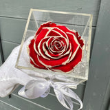 La Rosa Bebe Acrylic Box Red/ Silver Real Rose Large - Sale