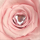 Pink 'Infinity' 30cm Long Stem Preserved Rose -🎀 Galentine's Day Collection