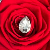 Red 'La Rosa Bebé' Clear Acrylic Box - Single Preserved Rose -🎀 Galentine's Day Collection