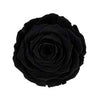 'La Rosa Bebé' Acrylic Box Single Rose