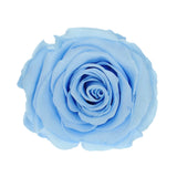 'La Rosa Bebé' Acrylic Box Single Rose