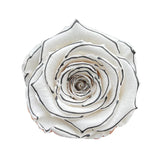 'La Rosa Bebé' Acrylic Box Single Rose