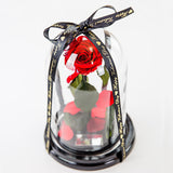 Beauty & The Beast 'Belle' Glass Dome - CLASSIC