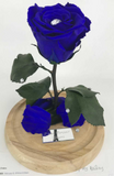 [shop_name - Forever Flowers