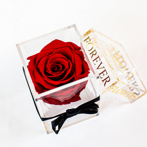 'La Rosa Bebé' Acrylic Box SINGLE - Preserved Rose