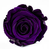 Carré Parfait Velvet Cube (9 Preserved Rose Box)