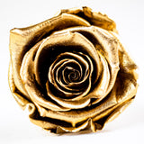 Queen B Bling Box Preserved Roses