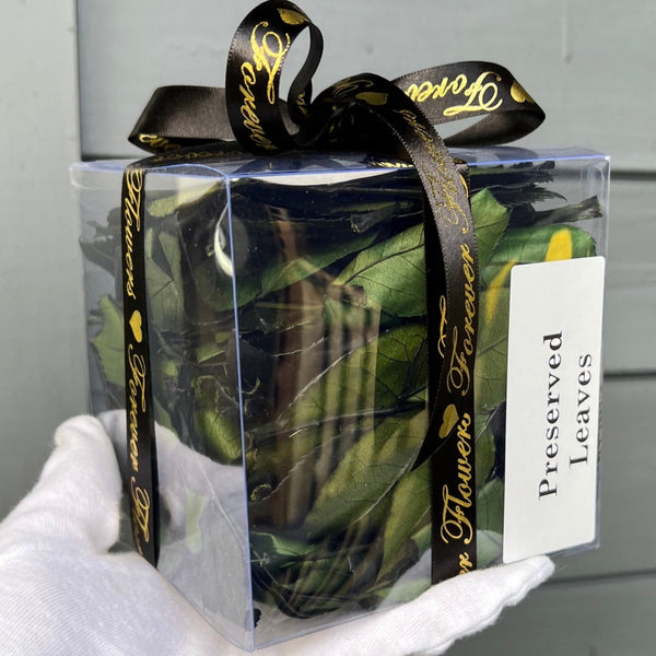 Loose Preserved Rose Leaves