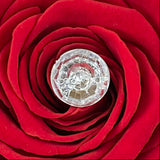 'The Champs-Élysées Challis' Glass Vase - Preserved Roses
