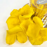 Box of Loose Preserved Petals in (Yellow)
