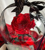 Enchanted Rose Deluxe Glass Dome - LARGE