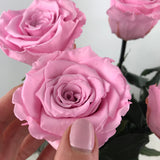 [shop_name - Forever Flowers