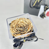 Acrylic Cube '24K' Gold Rose - Ready Made Collection