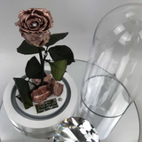 [shop_name - Forever Flowers