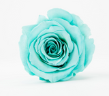 Carré Parfait Velvet Cube (9 Preserved Rose Box)