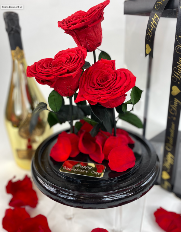 Bellissimo Hearts Glass Dome - LARGE