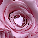 Pink Preserved Rose Blue Supreme Suede Cube