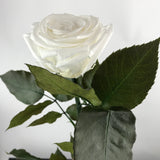 [shop_name - Forever Flowers