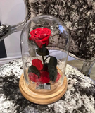 [shop_name - Forever Flowers